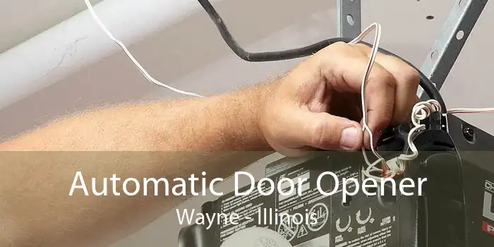 Automatic Door Opener Wayne - Illinois