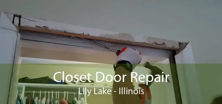 Closet Door Repair Lily Lake - Illinois