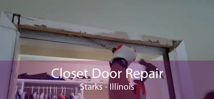 Closet Door Repair Starks - Illinois