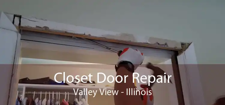 Closet Door Repair Valley View - Illinois