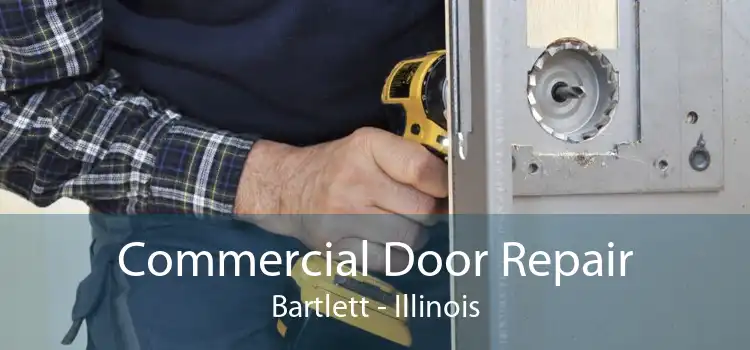 Commercial Door Repair Bartlett - Illinois