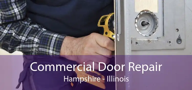 Commercial Door Repair Hampshire - Illinois