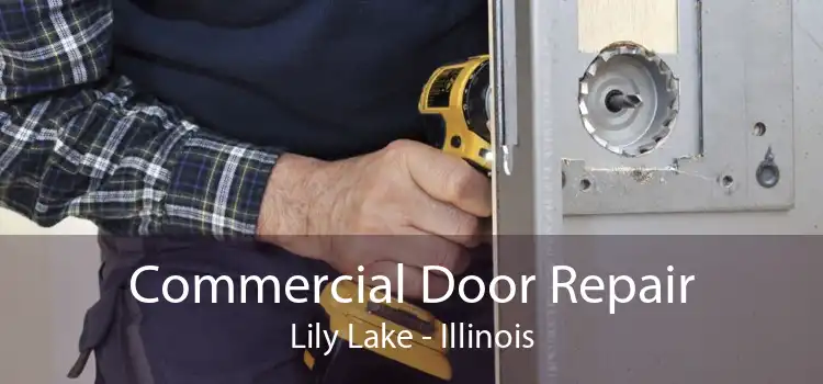 Commercial Door Repair Lily Lake - Illinois