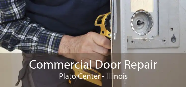 Commercial Door Repair Plato Center - Illinois