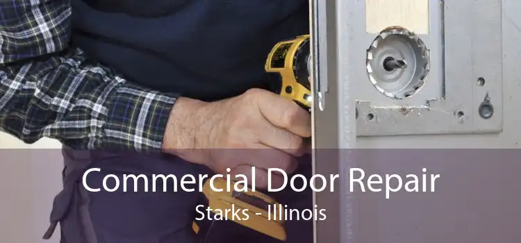 Commercial Door Repair Starks - Illinois