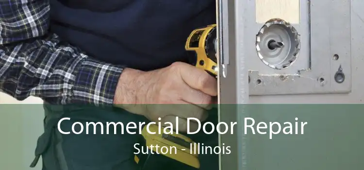 Commercial Door Repair Sutton - Illinois