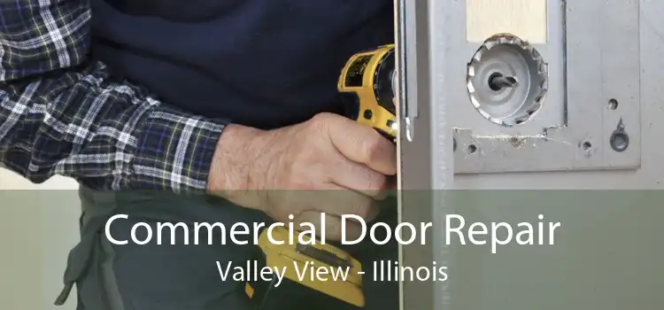 Commercial Door Repair Valley View - Illinois