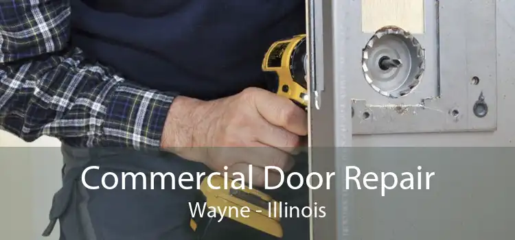 Commercial Door Repair Wayne - Illinois