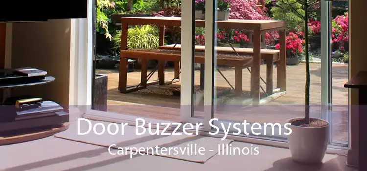 Door Buzzer Systems Carpentersville - Illinois