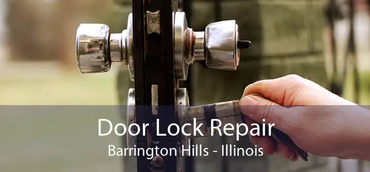 Door Lock Repair Barrington Hills - Illinois