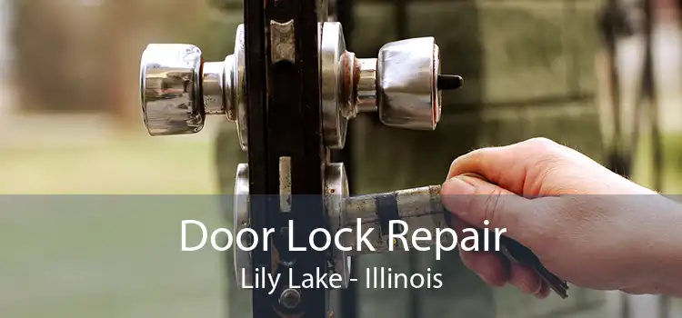 Door Lock Repair Lily Lake - Illinois