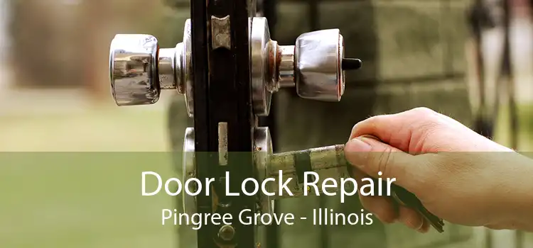 Door Lock Repair Pingree Grove - Illinois