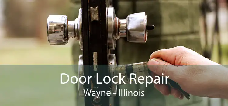 Door Lock Repair Wayne - Illinois