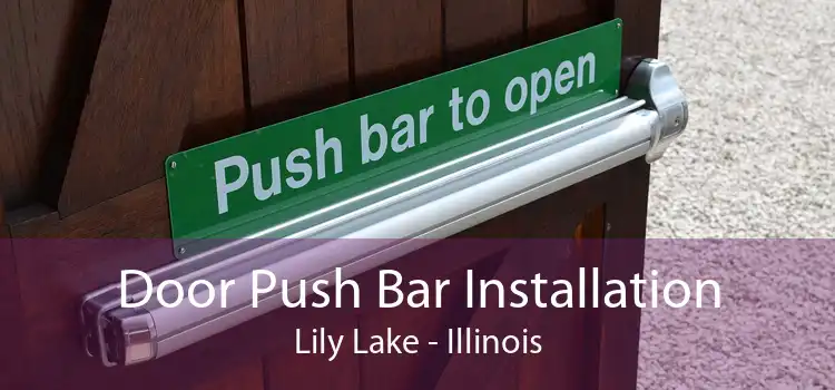 Door Push Bar Installation Lily Lake - Illinois