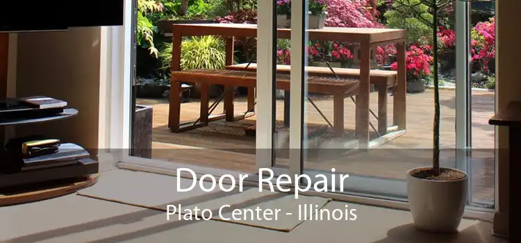 Door Repair Plato Center - Illinois