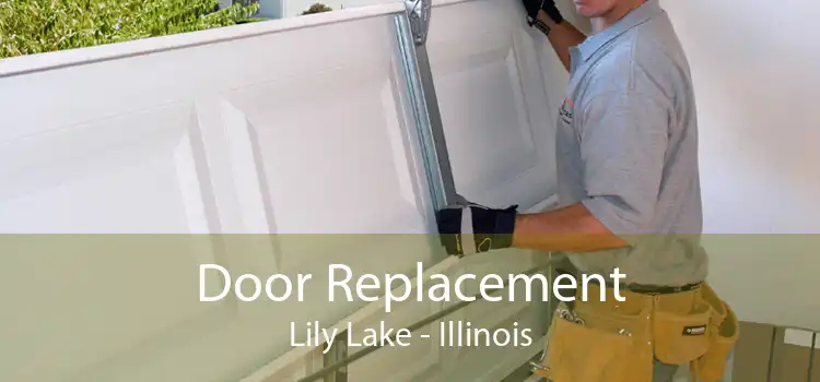 Door Replacement Lily Lake - Illinois