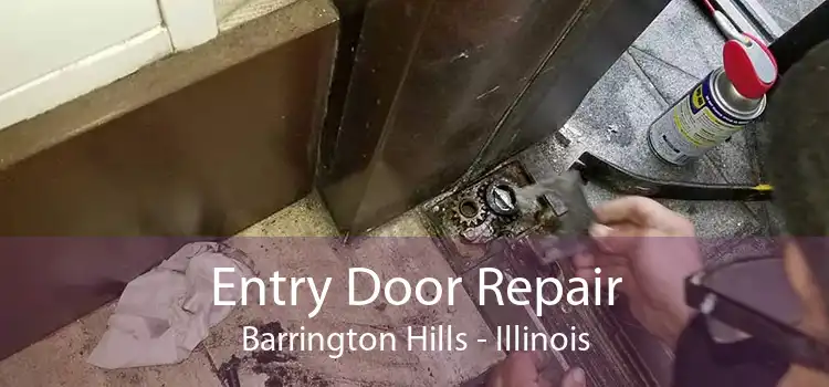 Entry Door Repair Barrington Hills - Illinois