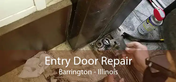 Entry Door Repair Barrington - Illinois