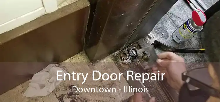 Entry Door Repair Downtown - Illinois