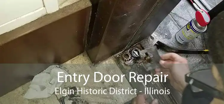 Entry Door Repair Elgin Historic District - Illinois