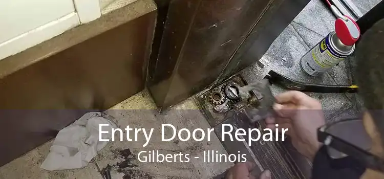 Entry Door Repair Gilberts - Illinois