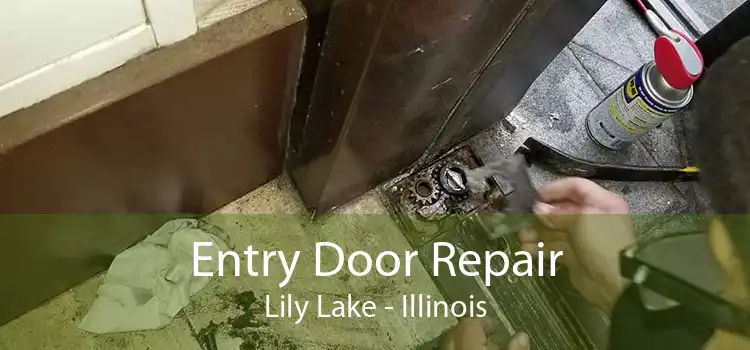 Entry Door Repair Lily Lake - Illinois