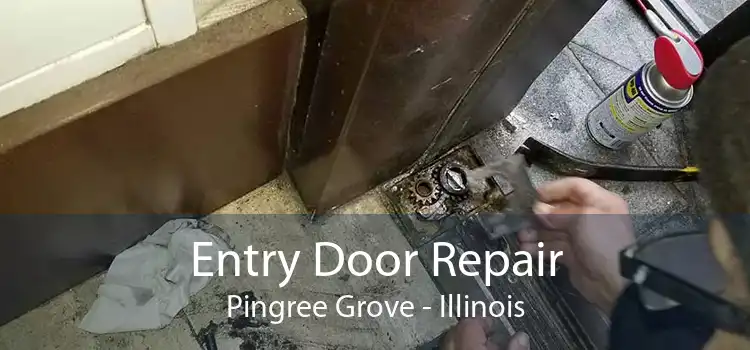 Entry Door Repair Pingree Grove - Illinois