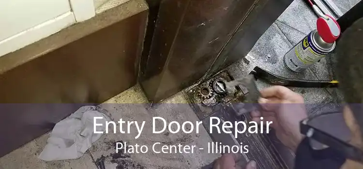 Entry Door Repair Plato Center - Illinois