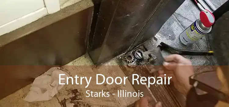 Entry Door Repair Starks - Illinois