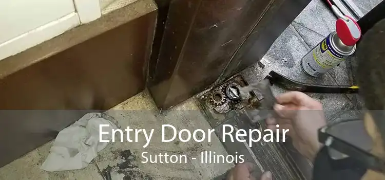 Entry Door Repair Sutton - Illinois