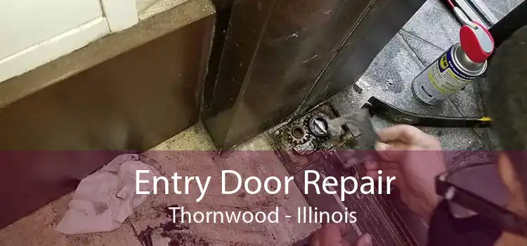 Entry Door Repair Thornwood - Illinois