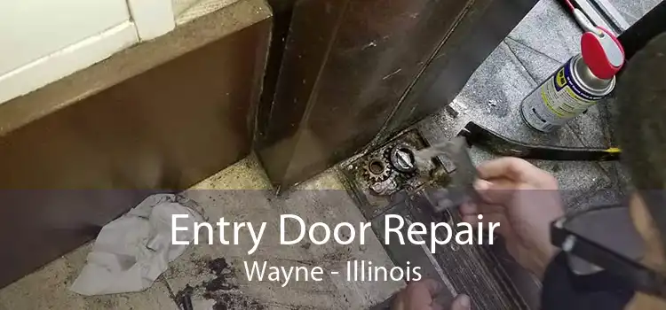 Entry Door Repair Wayne - Illinois