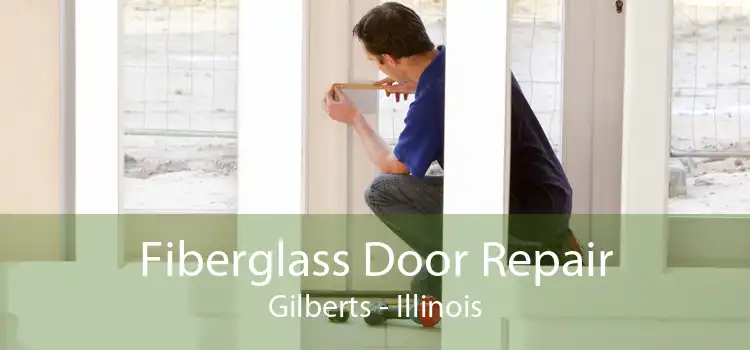 Fiberglass Door Repair Gilberts - Illinois