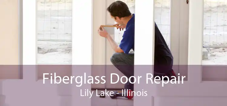 Fiberglass Door Repair Lily Lake - Illinois