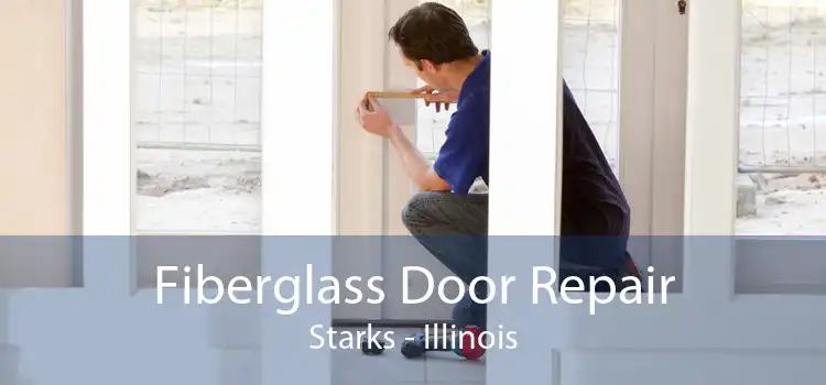 Fiberglass Door Repair Starks - Illinois