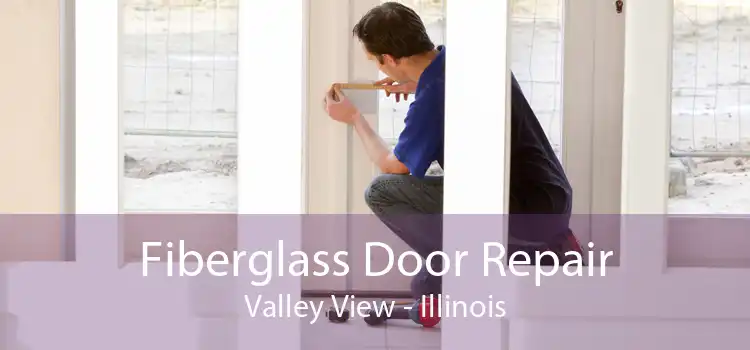 Fiberglass Door Repair Valley View - Illinois