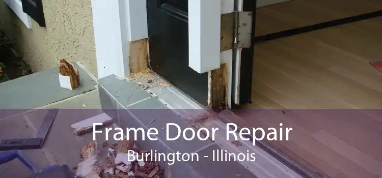 Frame Door Repair Burlington - Illinois