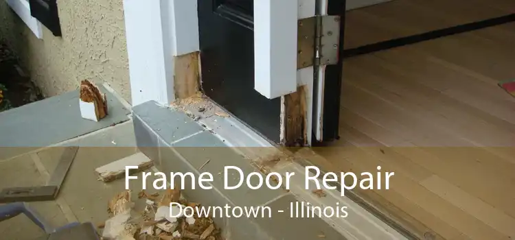 Frame Door Repair Downtown - Illinois