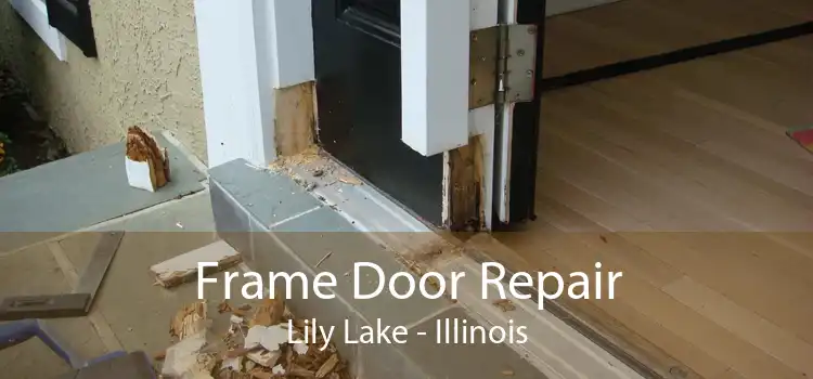 Frame Door Repair Lily Lake - Illinois