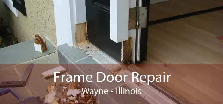 Frame Door Repair Wayne - Illinois