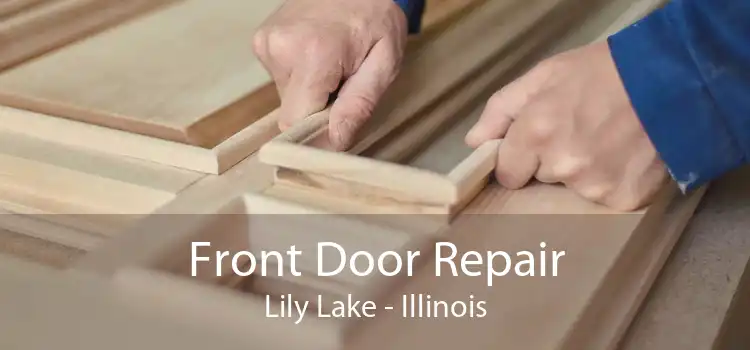 Front Door Repair Lily Lake - Illinois