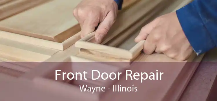 Front Door Repair Wayne - Illinois