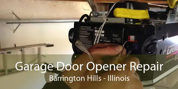 Garage Door Opener Repair Barrington Hills - Illinois