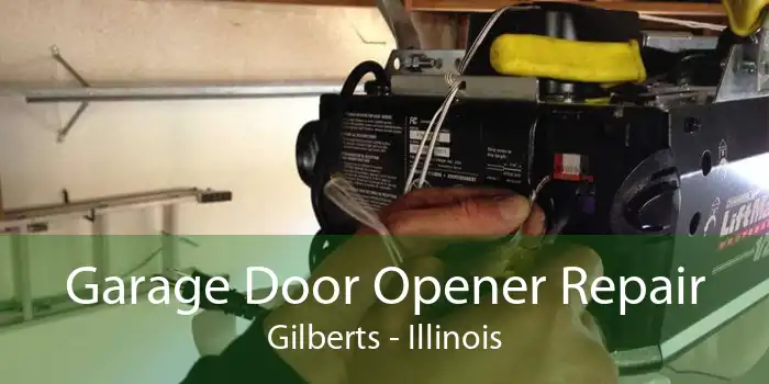 Garage Door Opener Repair Gilberts - Illinois