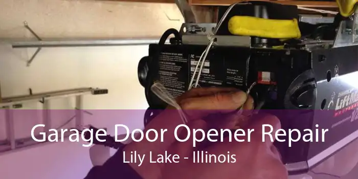 Garage Door Opener Repair Lily Lake - Illinois