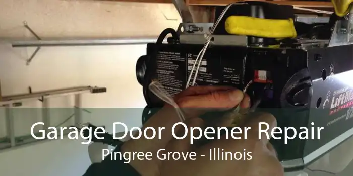 Garage Door Opener Repair Pingree Grove - Illinois