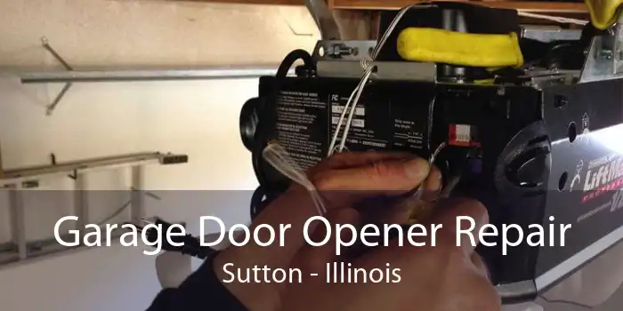 Garage Door Opener Repair Sutton - Illinois