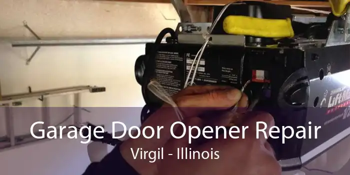 Garage Door Opener Repair Virgil - Illinois