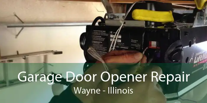 Garage Door Opener Repair Wayne - Illinois