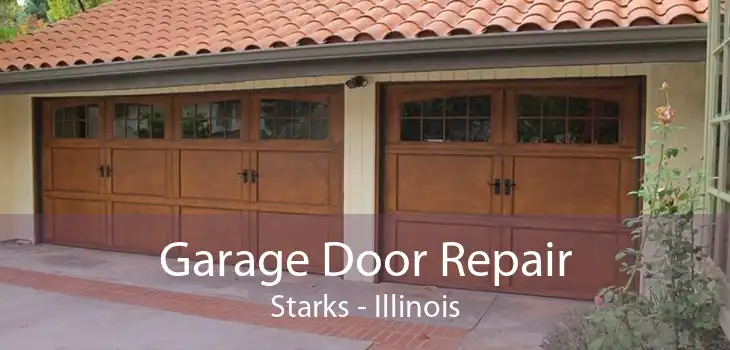 Garage Door Repair Starks - Illinois